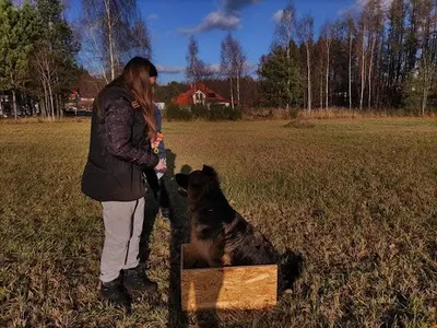 Pawsome dog Szkolenie Psów- Kinga Ziębora